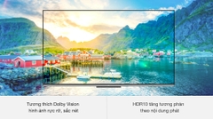 Android Tivi TCL 4K 43 inch 43P725