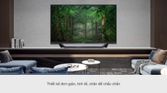 Smart Tivi Sony 32 inch KDL-32W600D