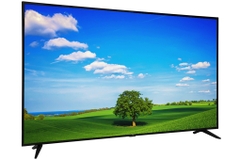 Smart Tivi TCL 4K 65 inch L65P65-UF