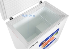 Tủ đông Hòa Phát HPF AN6162 162 lít