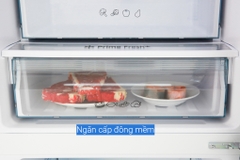 Tủ lạnh Panasonic Inverter NR-BV280QSVN 255 lít