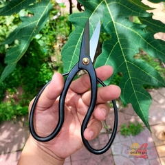 Kéo cắt tỉa cây kiểng bonsai Kanesyo Mikisyo (Y-4) No.61008