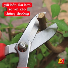 Kéo cắt cành cắm hoa tươi TUBOTA K-3 [MADE IN JAPAN]