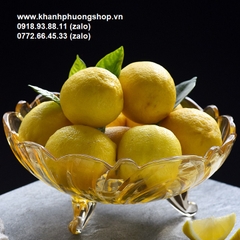 khay thủy tinh đựng topping trà sữa - khay thủy tinh