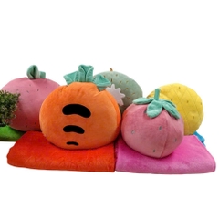 Bộ mền gối 2 trong 1 mẫu trái cây siêu cute