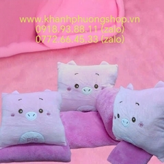 Bộ chăn gối 2 trong 1 nhiều mẫu size 40cm