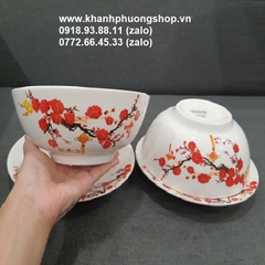 bộ tô dĩa sứ - tô dĩa sứ