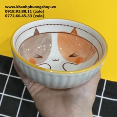 bộ 6 chén sứ hoa văn thổ cẩm kèm đũa - bộ 6 chén sứ kèm đũa cao cấp