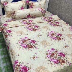 drap giường cotton - drap trải giường