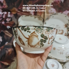 bộ chén tô dĩa sứ Cotton cao cấp, sang trọng - bộ bàn tô chén dĩa sứ đẹp