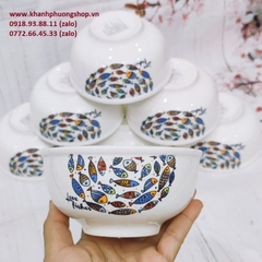 bộ chén tô dĩa sứ hình cá - bộ chén tô dĩa sứ