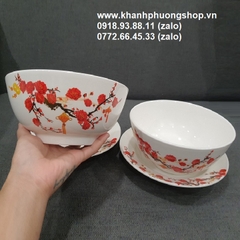 bộ tô dĩa sứ - tô dĩa sứ