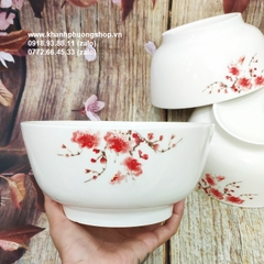 Bộ chén tô dĩa sứ hoa đào - bộ bàn ăn cao cấp hoa đào