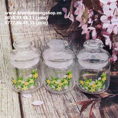 hũ thủy tinh đựng gia vị - hủ đựng gia vị thủy tinh
