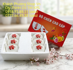 Bộ 10 chén sứ hộp xốp quà tặng cao cấp - bộ chén sứ quà tặng đựng trong hộp xốp