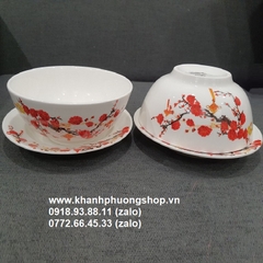 bộ tô dĩa sứ - tô dĩa sứ