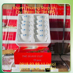 Bộ 6 chén sứ hộp xốp quà tặng cao cấp - nhận in logo theo yêu cầu
