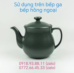 Ấm nước (siêu thuốc) dưỡng sinh 3.3 L + nắp – HealthyCook – Xanh rêu