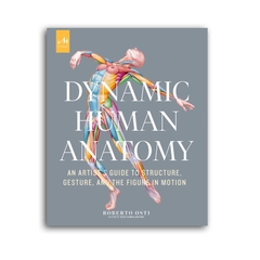 Dynamic Human Anatomy