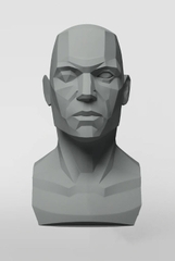 3dtotal Anatomy: Male planar bust