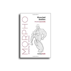 Morpho Muscled Bodies: Anatomy for Artists