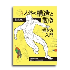 Structure and movement of the human body