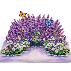 Thiệp nổi 3D  Vườn hoa Lavender và hoa cúc