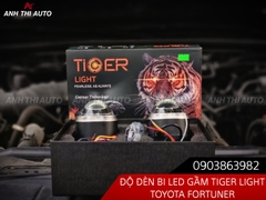 Bi Led Gầm Tiger Light