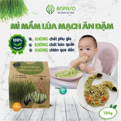 Mì ăn dặm hữu cơ cho bé mầm lúa mạch Organic Anpaso 300gr/120gr