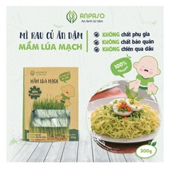 Mì ăn dặm hữu cơ cho bé mầm lúa mạch Organic Anpaso 300gr/120gr