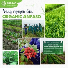 Mì ăn dặm hữu cơ cho bé củ cải đỏ và củ dền Organic Anpaso 120g