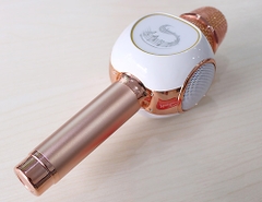 Microphone Karaoke Kèm Loa Anysing ZBX-69