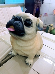 CHÓ TIẾT KIỆM SIÊU KUTE