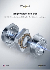 Quạt cây 5 cánh Whirlpool ( Mỹ), có remote