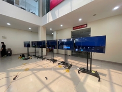 Cho Thuê Tivi 55 Inch Số Lượng Lớn