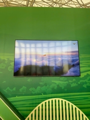 Cho Thuê Tivi Triển Lãm Mùa Xuân 2026 Tại VEC – Phú Vương Uy Tín, Giá Tốt