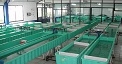 Máy Ozone cho trang trại thủy sản