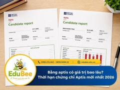 Bằng Aptis có giá trị bao lâu? Thời hạn chứng chỉ Aptis mới nhất 2026