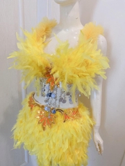 Bộ carnival vàng