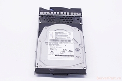 11214 Ổ cứng HDD fc IBM 146gb 15k 3.5