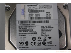 11220 Ổ cứng HDD fc IBM 300gb 15k 3.5