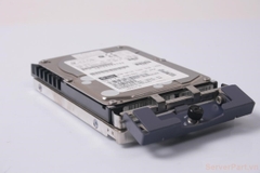 11244 Ổ cứng HDD fc SUN 146gb 10k 3.5