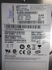 11484 Ổ cứng HDD sas IBM 73gb 10k 3.5