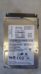 11690 Ổ cứng HDD scsi 80 pin IBM 36gb 10k 2.5