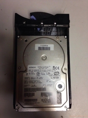 11705 Ổ cứng HDD scsi 80 pin IBM 73gb 10k 3.5