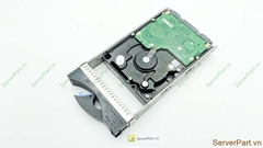 16137 Ổ cứng HDD FC IBM 300gb 15K 3.5