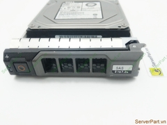 16313 Ổ cứng HDD SAS Dell 2Tb 7.2K 3.5