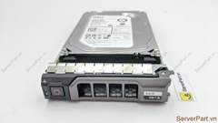 16317 Ổ cứng HDD SATA Dell 1Tb 7.2K 3.5