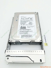 16345 Ổ cứng HDD FC SUN 300Gb 15K 3.5