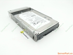 16345 Ổ cứng HDD FC SUN 300Gb 15K 3.5